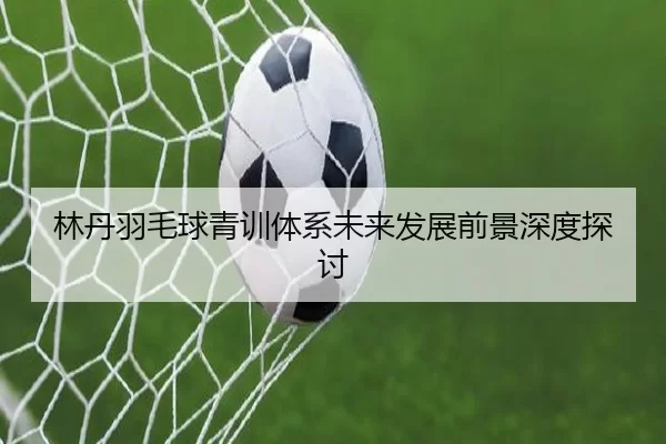 林丹羽毛球青训体系未来发展前景深度探讨